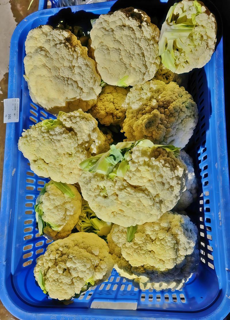 广州工厂蔬菜配送服务,推荐铭智餐饮,专